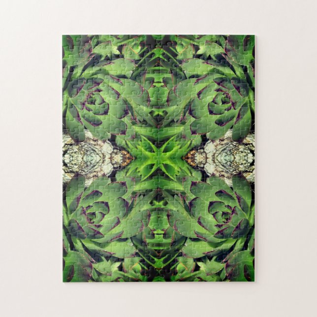 Puzzle Hens And Chicks Garden Aceleran De Manera Suculent (Vertical)