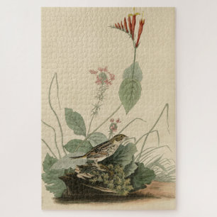 Puzzle Henslow's Bunting (resplandor), Audubon Birds Amer