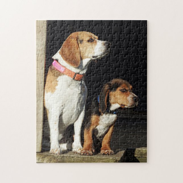 Puzzle Hermana grande del beagle y beagle de pequeño (Vertical)