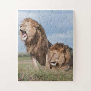 Puzzle Hermanos leones perezosos en la sabana