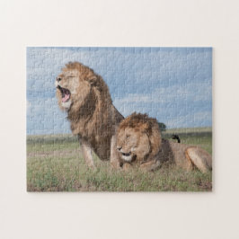 Puzzle Hermanos leones perezosos en la sabana