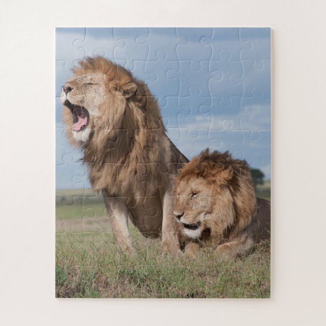 Puzzle Hermanos leones perezosos en la sabana (Vertical)