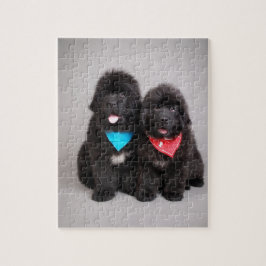 Puzzle Hermanos Nuwfie