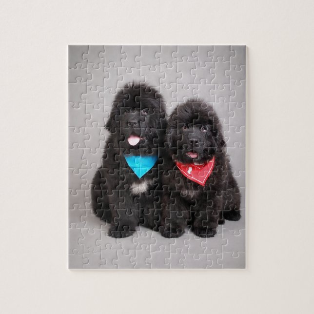 Puzzle Hermanos Nuwfie (Vertical)