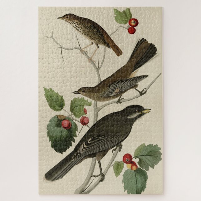 Puzzle Hermit Thrush, los pájaros de Estados Unidos del g (Vertical)