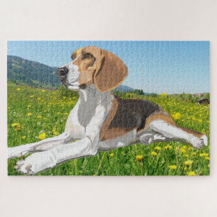 Puzzle Hermosa Bella tumbada en un prado de flores
