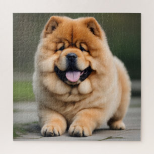 Puzzle Hermosa Chow Chow