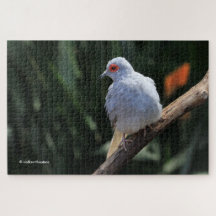 Hermosa cocina de diamantes en el centro de la ate