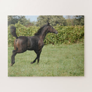 Puzzle Hermosa cría de caballos en un campo