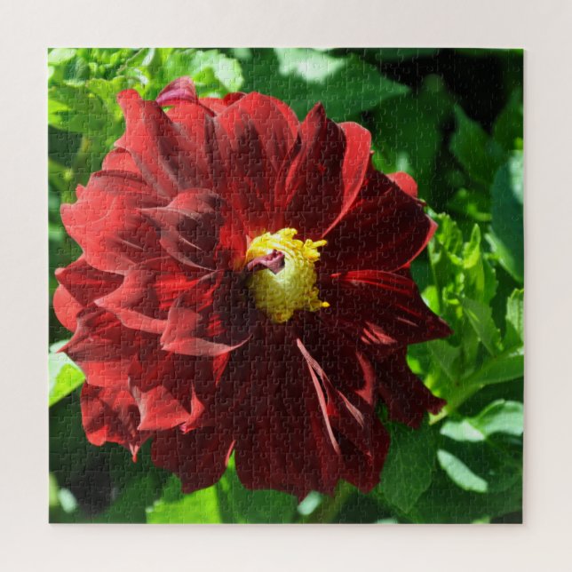 Puzzle Hermosa dahlia roja (Vertical)