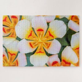Puzzle Hermosa flor blanca, naranja y roja