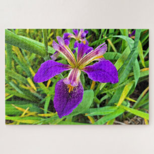Puzzle Hermosa flor de iris morado en flor