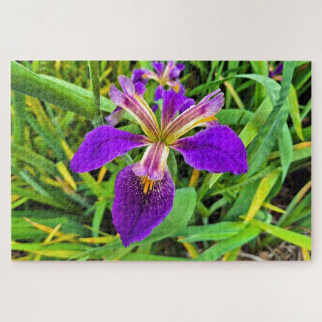 Puzzle Hermosa flor de iris morado en flor (Horizontal)
