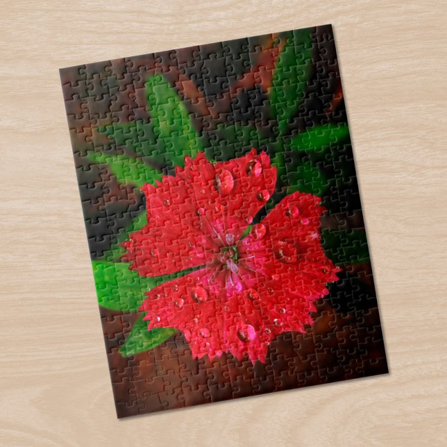 Puzzle Hermosa Flor Roja De Dianthus Con Gotas De Lluvia (Beautiful Red Dianthus Flower With Raindrops Photo Jigsaw Puzzle in situ)
