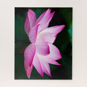 Puzzle Hermosa flor rosa Lotus