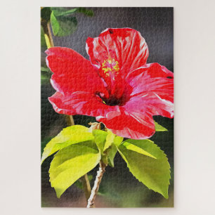 Puzzle Hermosa Flor Tropical Roja Artística Hibiscus