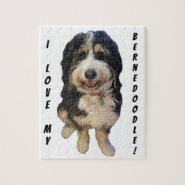 Puzzle Hermosa foto de Birdie el perro Bernedoodle