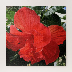 Puzzle Hermosa foto de flor de hibisco naranja