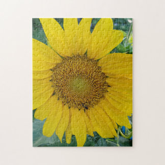 Puzzle Hermosa foto de girasol
