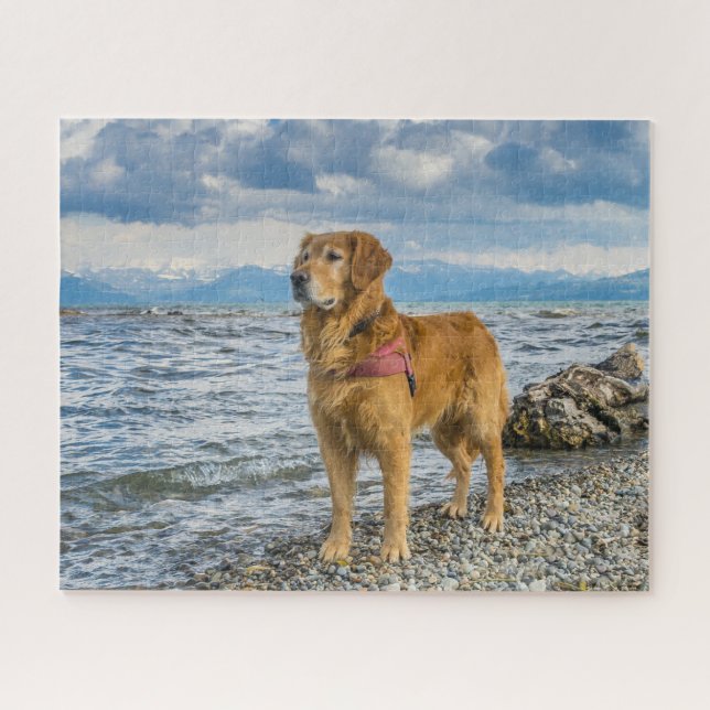 Puzzle Hermosa foto de playa de perro con un perro recupe (Horizontal)
