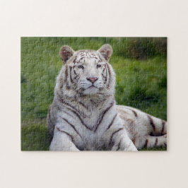 Puzzle Hermosa foto de tigre blanco