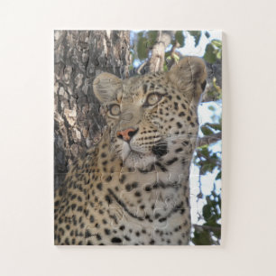 PUZZLE HERMOSA HEMBRA DE LEOPARDO PRIMER PLANO