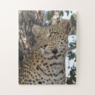 PUZZLE HERMOSA HEMBRA DE LEOPARDO PRIMER PLANO