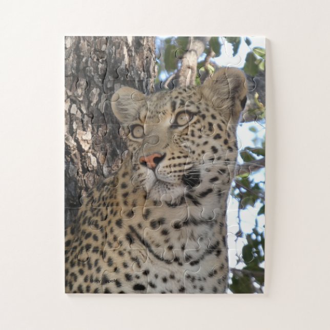 PUZZLE HERMOSA HEMBRA DE LEOPARDO PRIMER PLANO (Vertical)