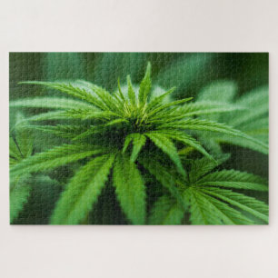 Puzzle Hermosa hierba