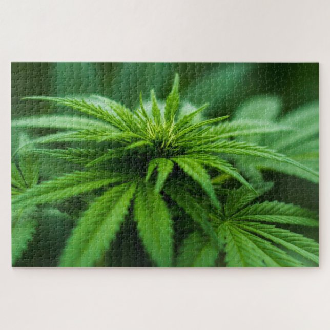 Puzzle Hermosa hierba (Horizontal)