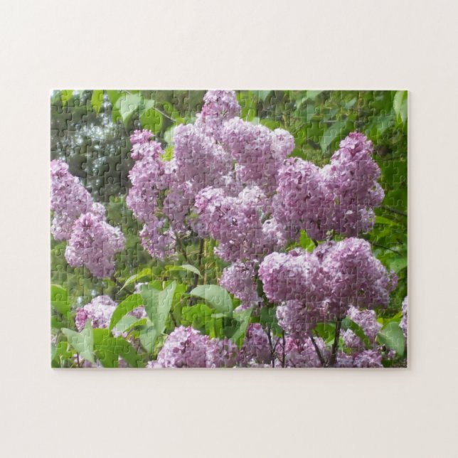 Puzzle Hermosa Lilacs - Fotografía floral (Horizontal)