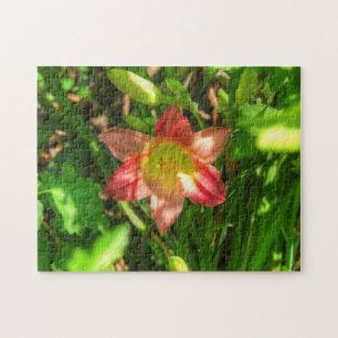 Puzzle Hermosa Lily