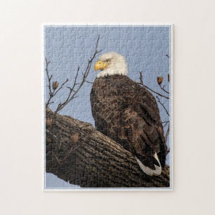 Puzzle Hermosa mamá (Águila)