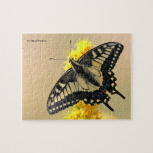Puzzle Hermosa mariposa Anise Swallowtail en el sol
