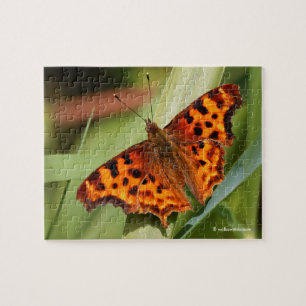 Puzzle Hermosa mariposa Naranja Satyr Comma