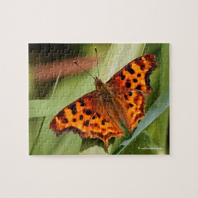 Puzzle Hermosa mariposa Naranja Satyr Comma (Horizontal)