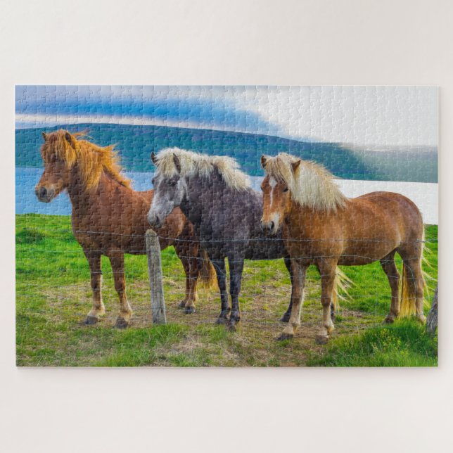Puzzle Hermosa naturaleza de los animales de caballos isl (Horizontal)