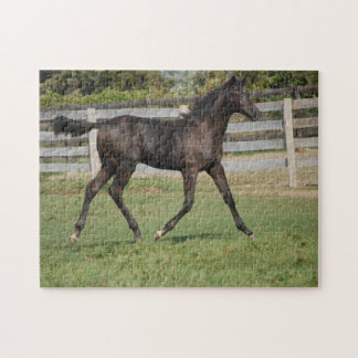 Puzzle Hermosa Perranía de Caballos