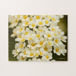 Puzzle Hermosa Spiraea Corona Nupcial
