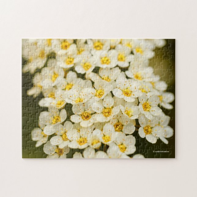 Puzzle Hermosa Spiraea Corona Nupcial (Horizontal)