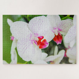 Puzzle Hermosas flores blancas y rojas