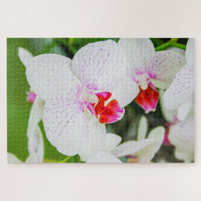 Puzzle Hermosas flores blancas y rojas (Horizontal)