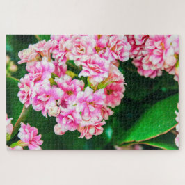 Puzzle Hermosas flores blancas y rosas