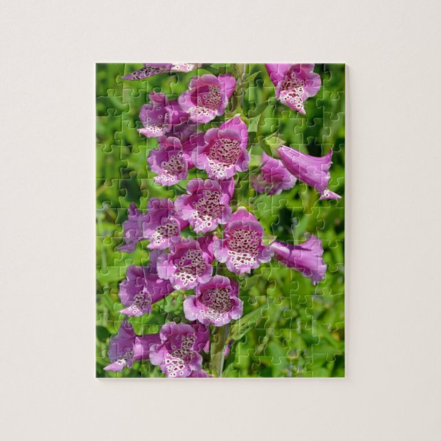 Puzzle Hermosas flores de foxglove rosas (Vertical)