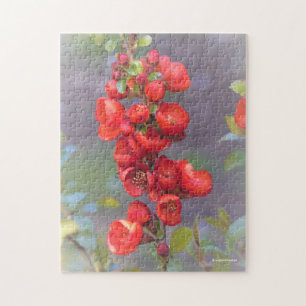 Puzzle Hermosas Flores de Membrillo Naranja Rojo