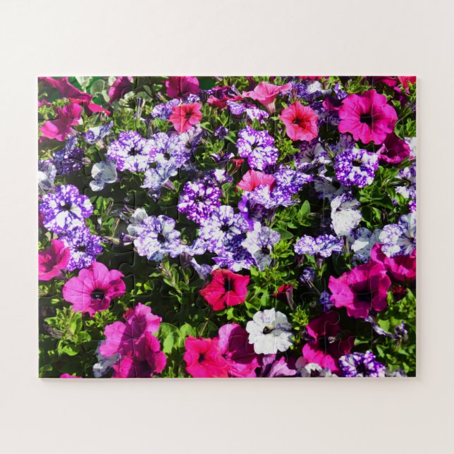 Puzzle Hermosas flores de petunia (Horizontal)