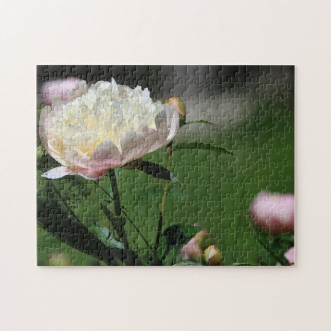 Puzzle Hermosas flores de verano blancas y rosadas (Horizontal)