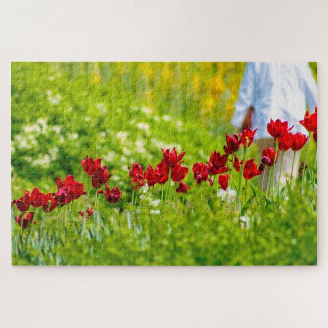 Puzzle Hermosas flores rojas, Países Bajos (Horizontal)
