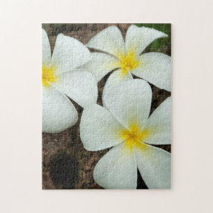 Puzzle Hermosas Flores Tropicales En El Pacífico Sur