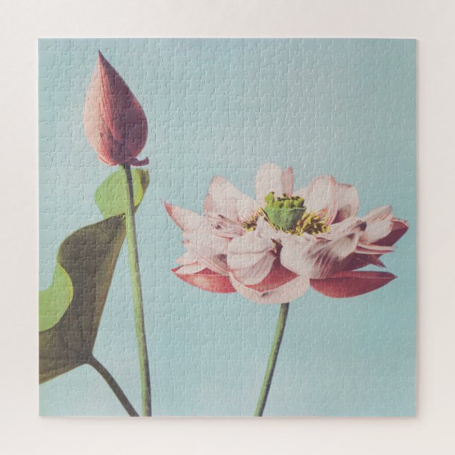 Puzzle Hermosas impresiones fotomecánicas de Lotus Flower (Vertical)